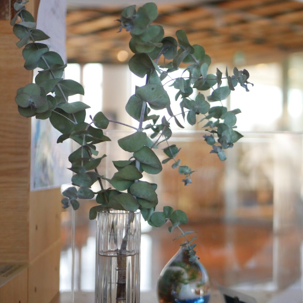 【レポート】写真の魅力をアップ！１DAY写真講座開催しました