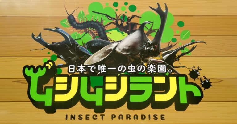 昆虫の王様に会いに行こう！ 田村市常葉町『ムシムシランド』