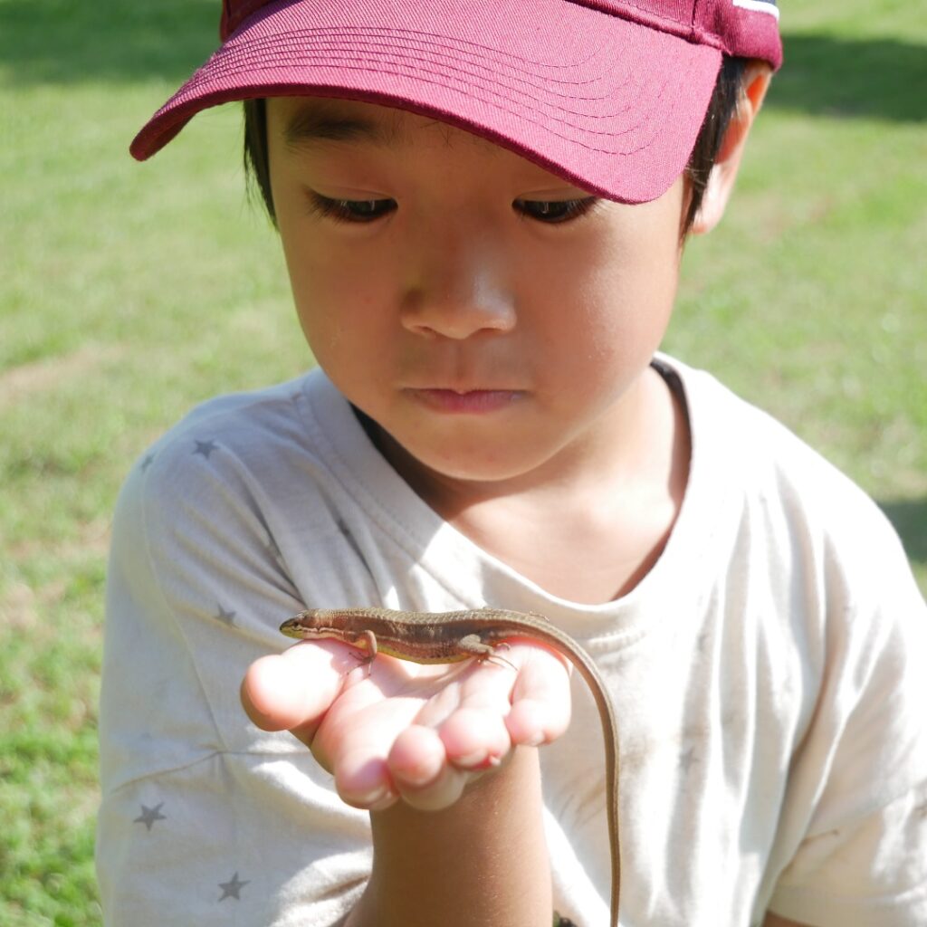 【レポート】ふたばであそぼう！冒険ひろば開催しました